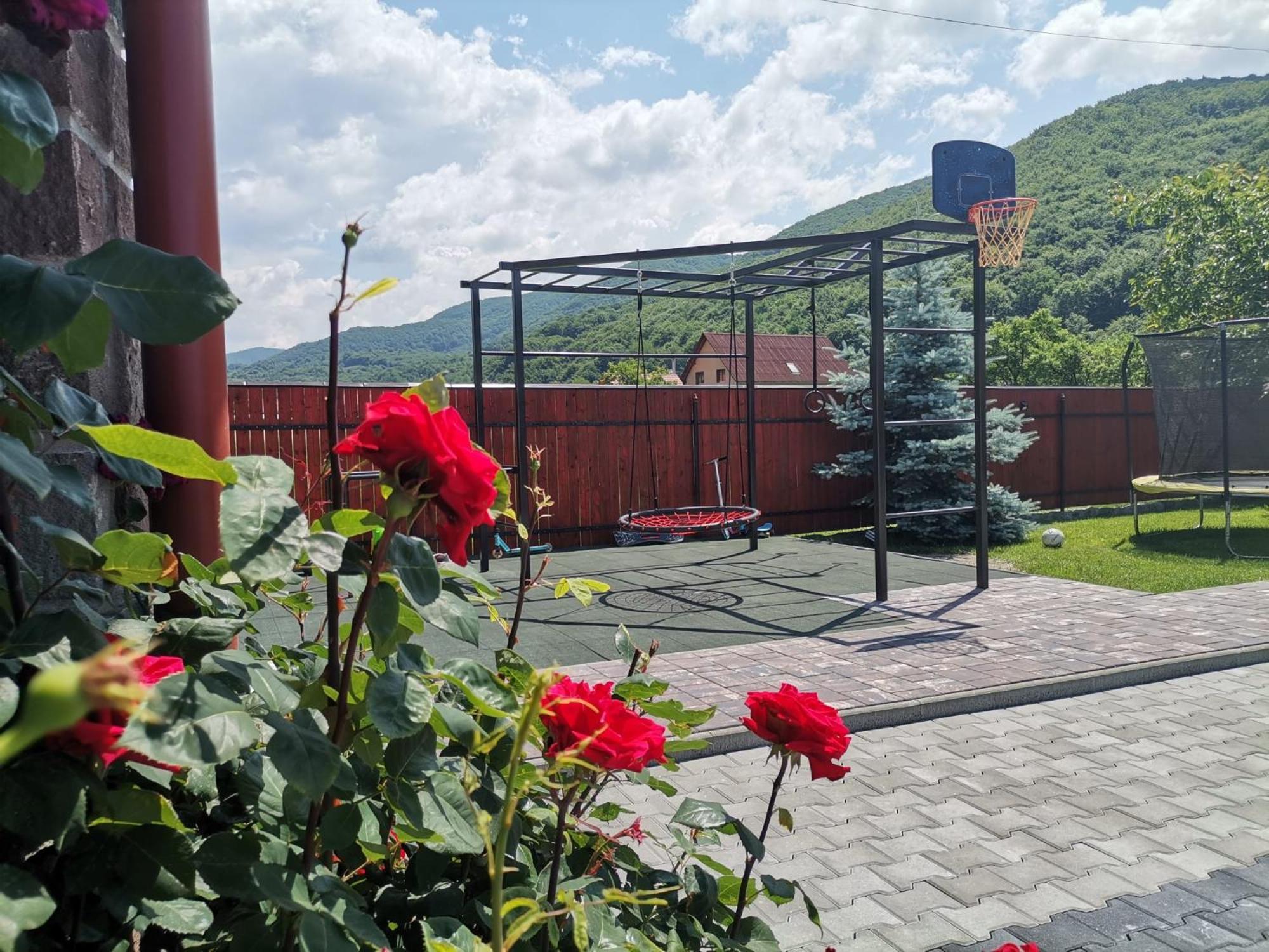 Dió vendégház Praid Exterior foto
